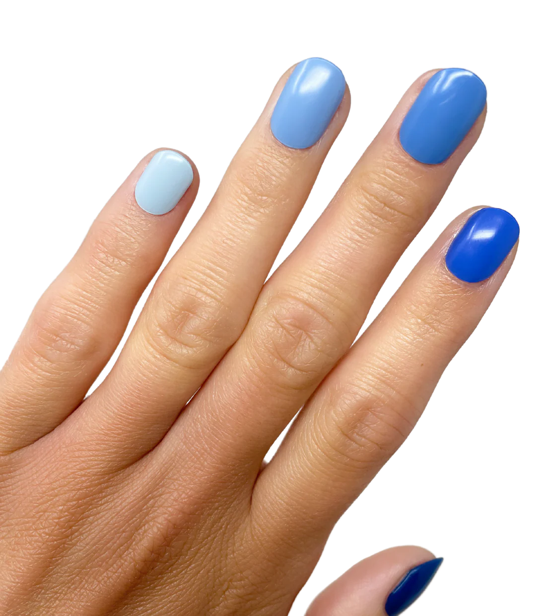 One Blue Love (Starter Kit) - Image 2