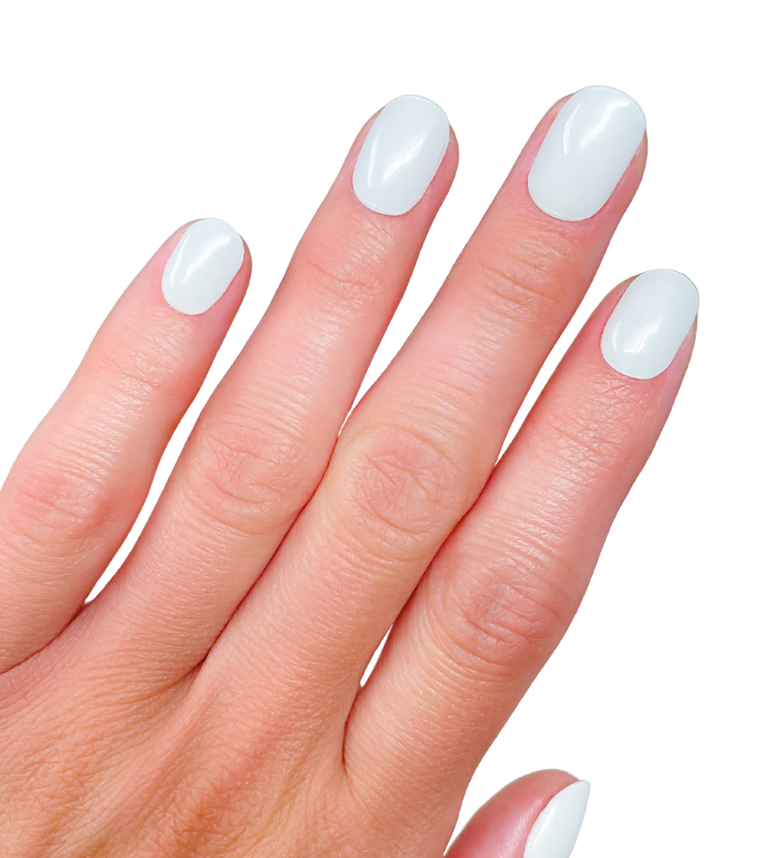 Hint of Mint (Starter Kit) - Image 2