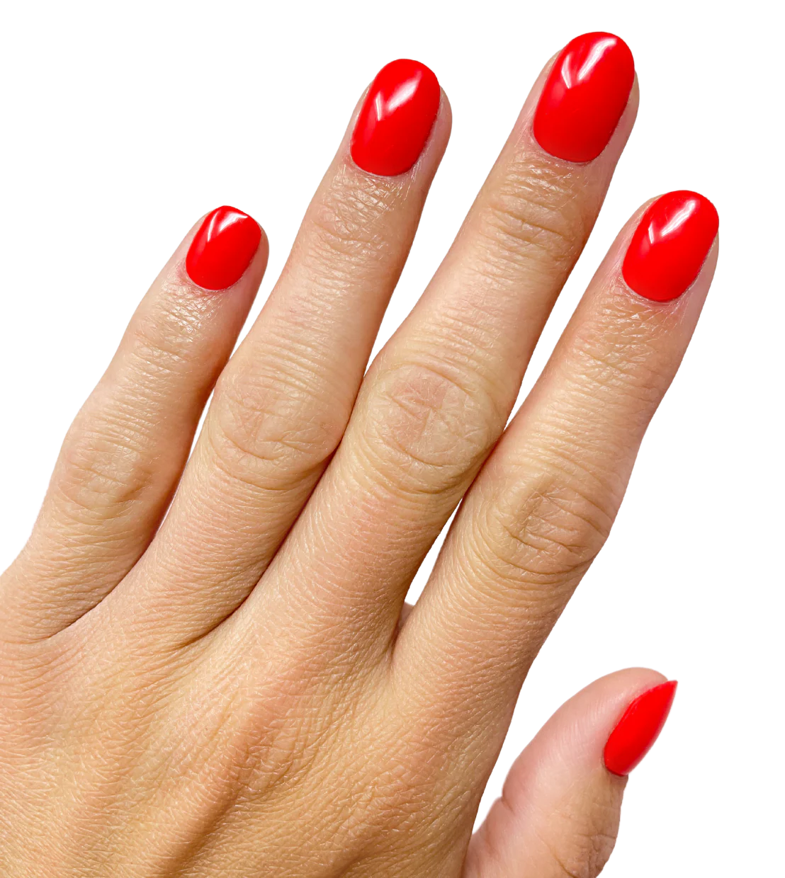Fiery Red - Image 2