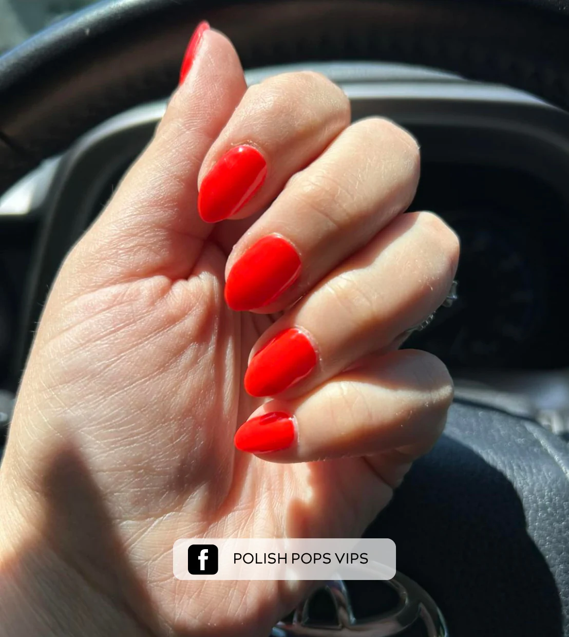 Fiery Red - Image 3