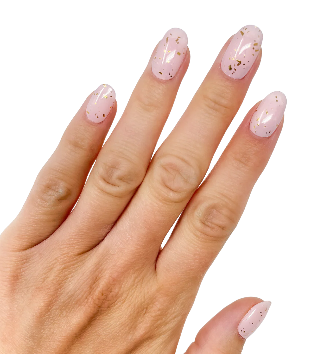 Goldilocks (Starter Kit) - Image 2