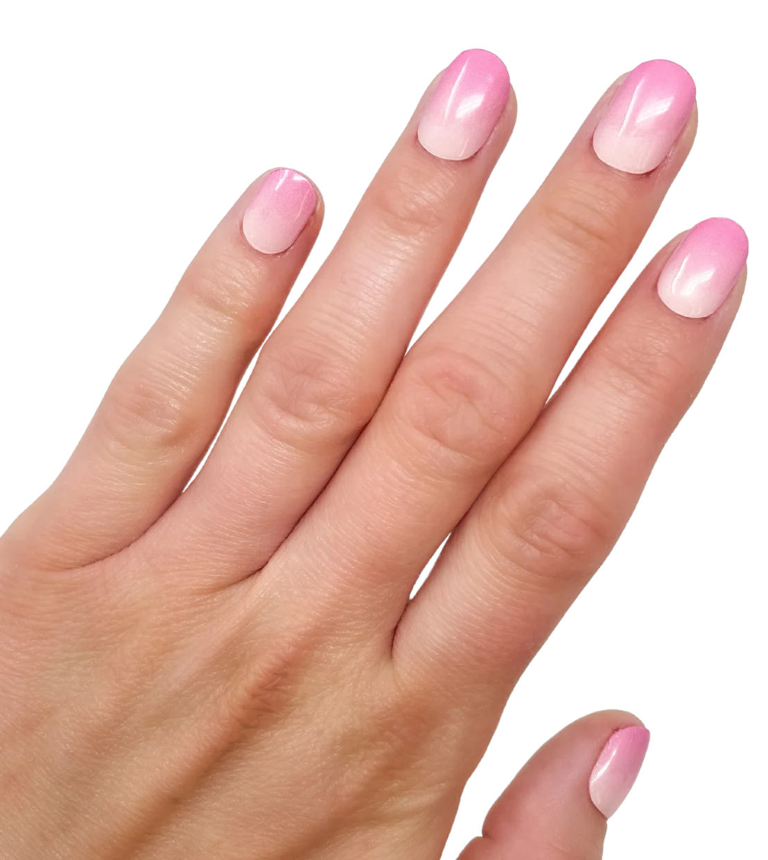 Tickled Pink - Image 2