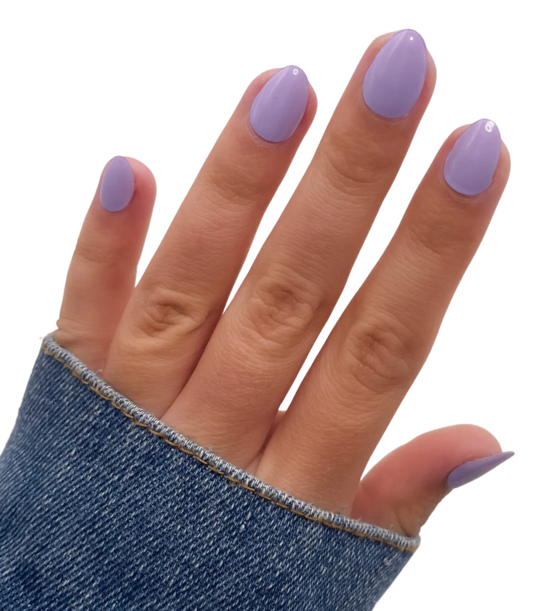 Lovely Lavender - Image 2