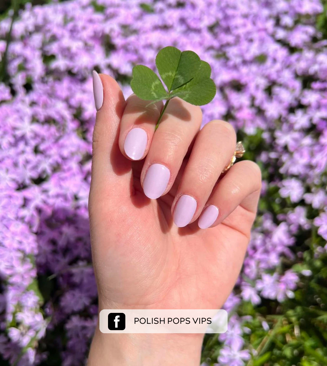 Lovely Lavender (Starter Kit) - Image 3