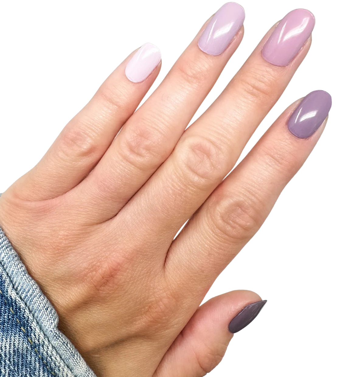 Purple Haze - Image 2