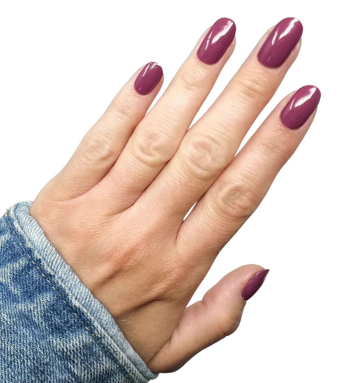 Miss Mulberry - Image 2