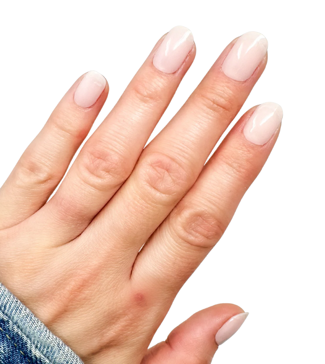Sheer Perfection (Starter Kit) - Image 2