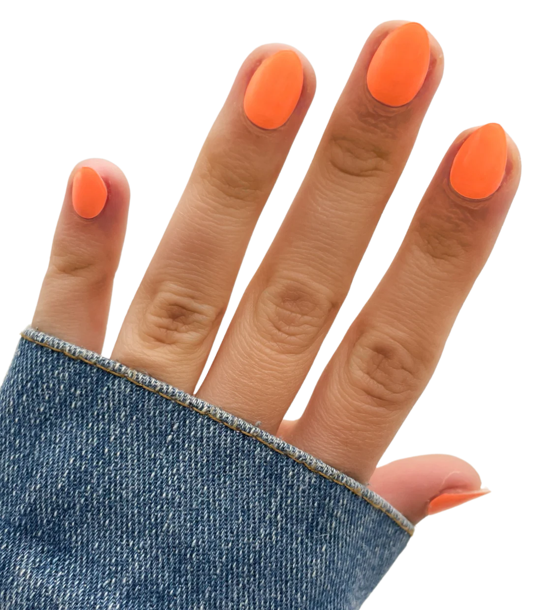 Orange Crush (Starter Kit) - Image 2