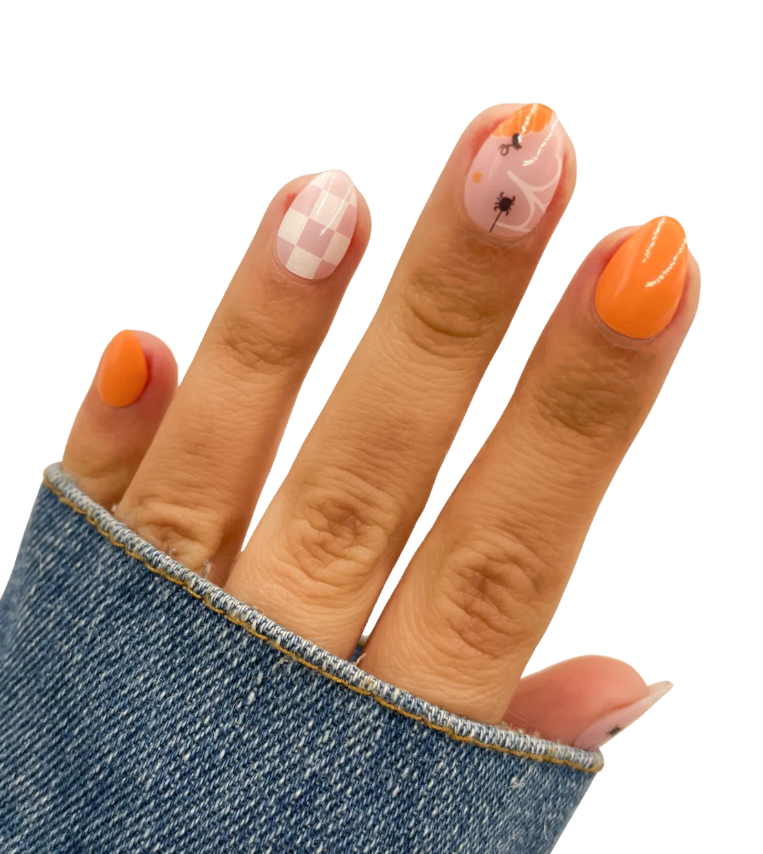 Hello Gourdgeous (Starter Kit) - Image 2